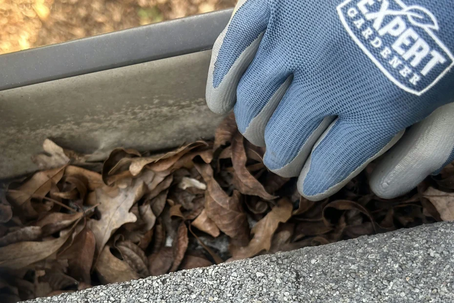 Gutter Cleaning Pearland, TX