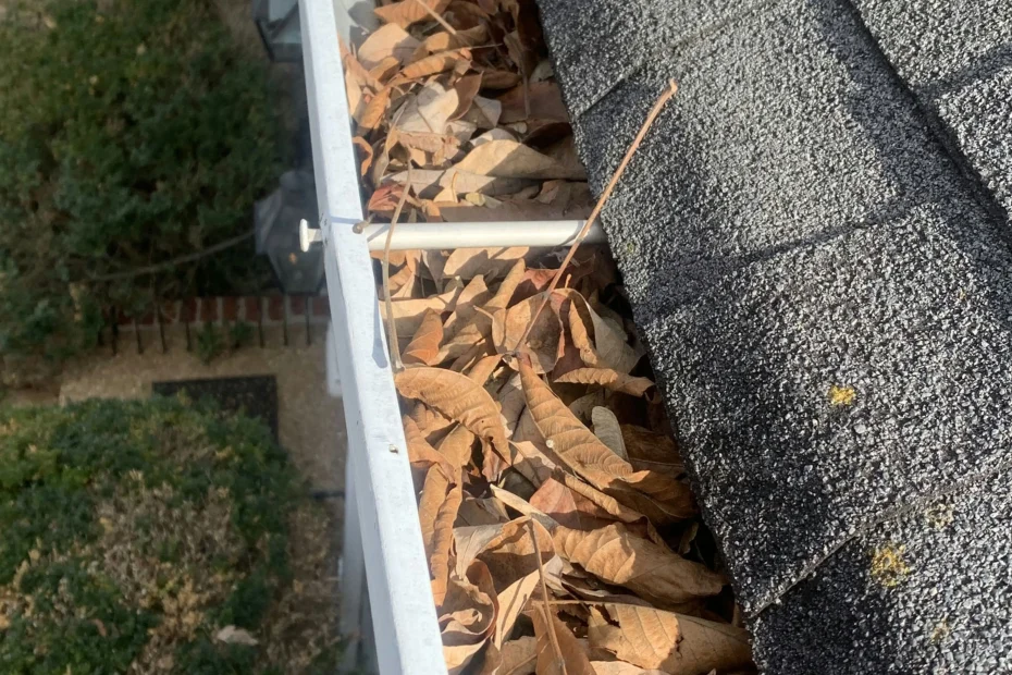 Gutter Cleaning Pearland, TX