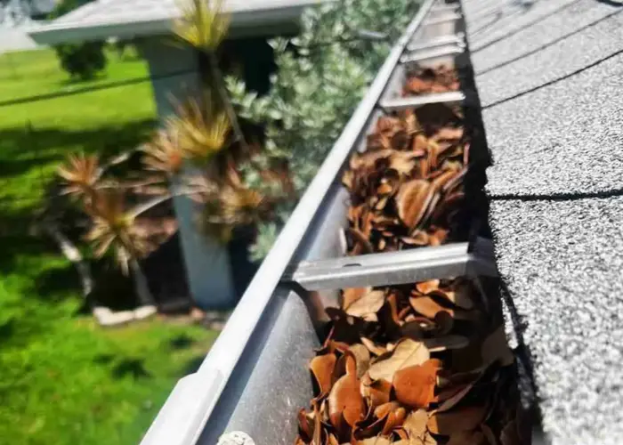 Gutter Cleaning Pearland, Tx home page